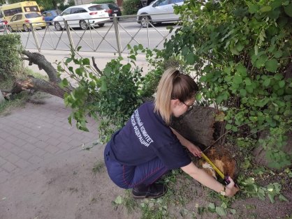 В Черняховске следователи регионального Следственного комитета выясняют обстоятельства травмирования малолетнего